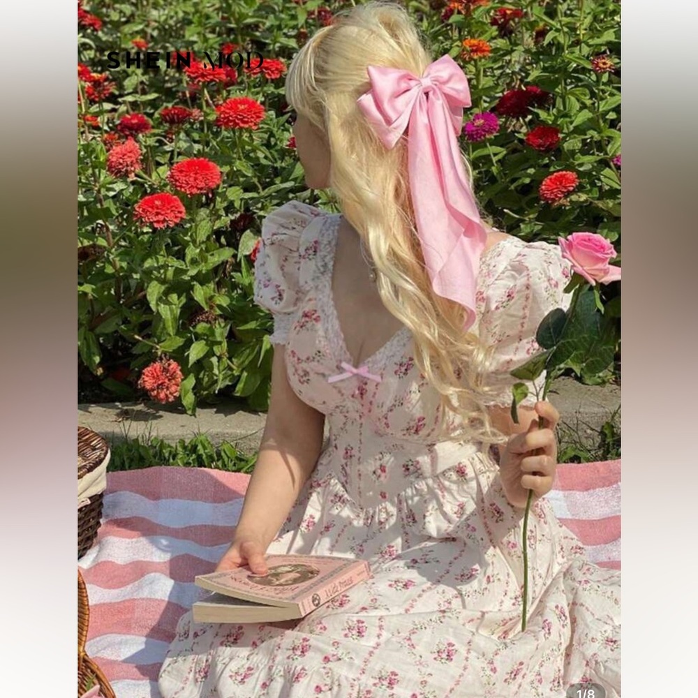 Ribbons & Floral Pink and White Coquette Princess Dress
